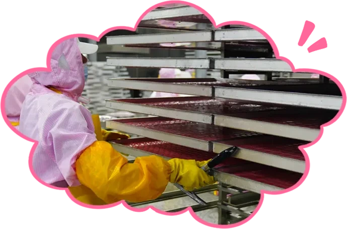 page-689-454 Production&Quality Inspection