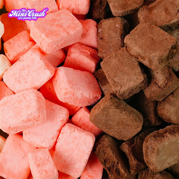 Freeze-dried Chocolate Ice Cream best