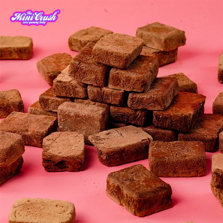 Freeze-dried Chocolate Ice Cream factory