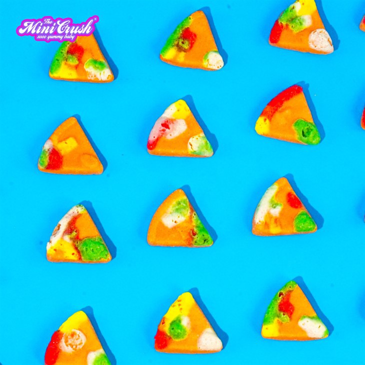 Freeze Dried Crunchy Pizza (Natural Color) suppliers