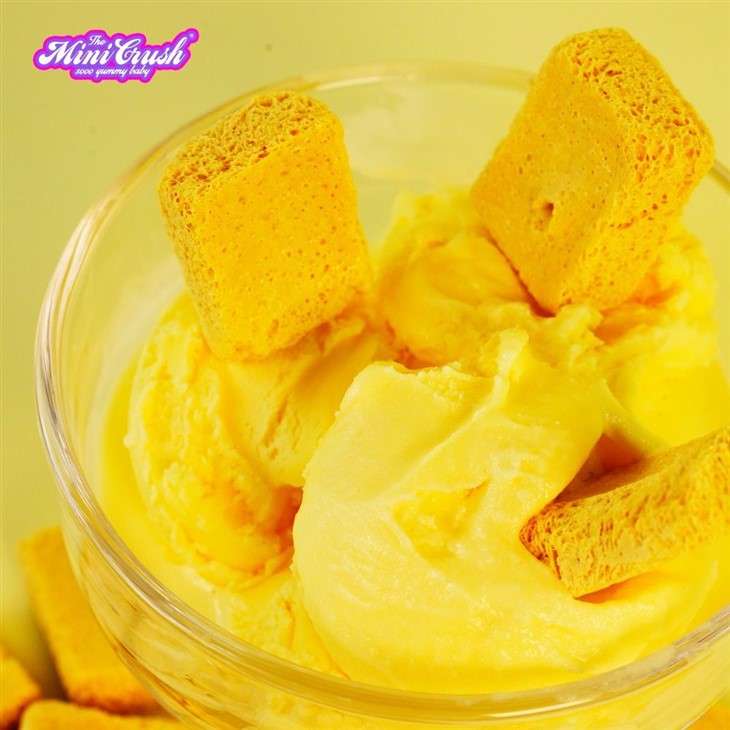 Freeze-Dried Ice Cream (Cookie Flavor) best