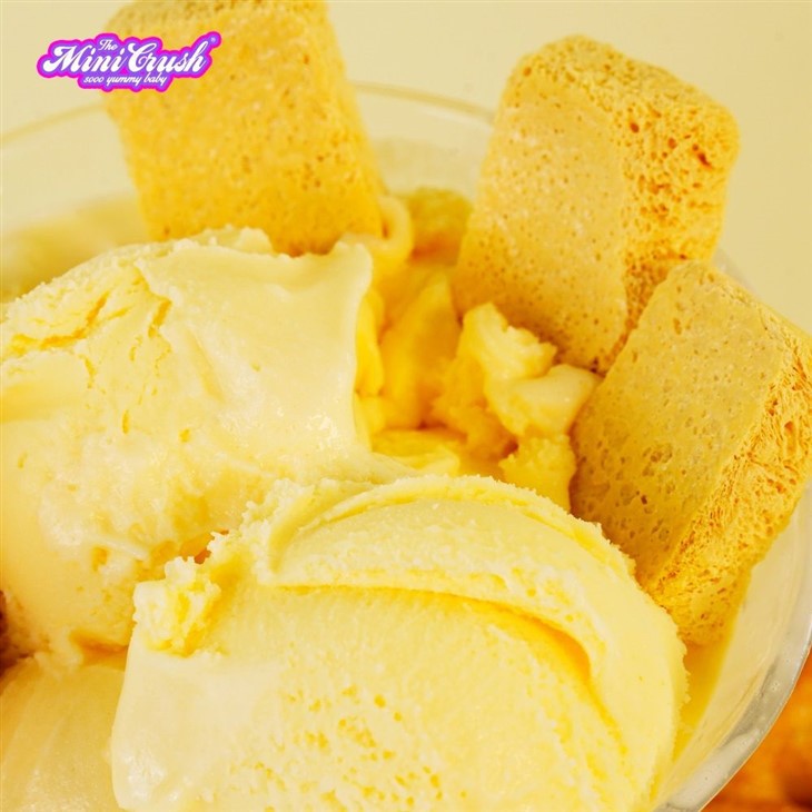 Freeze-Dried Ice Cream (Cookie Flavor) factory