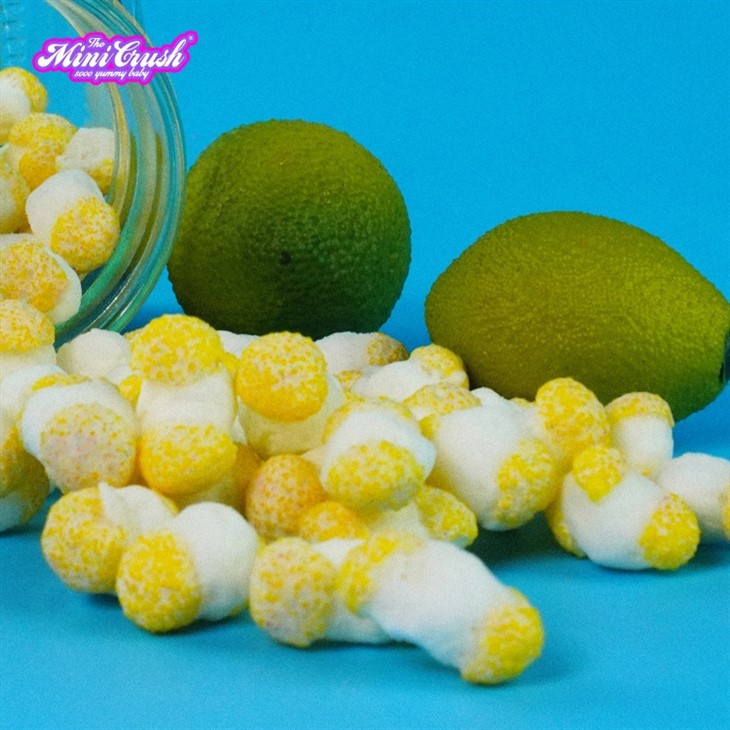 Freeze Dried Sour Lemon Crush high quality