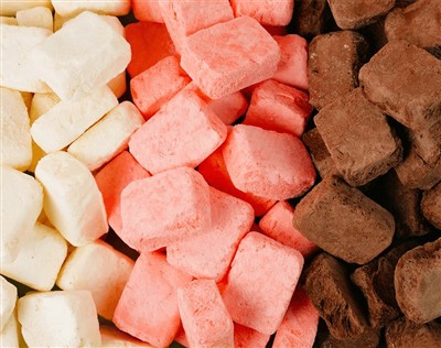 మినీక్రష్ ఫ్రీజ్‌తో ప్రపంచ దృష్టిని ఆకర్షించింది-కాంటన్ ఫెయిర్ 2025లో డ్రైడ్ ...